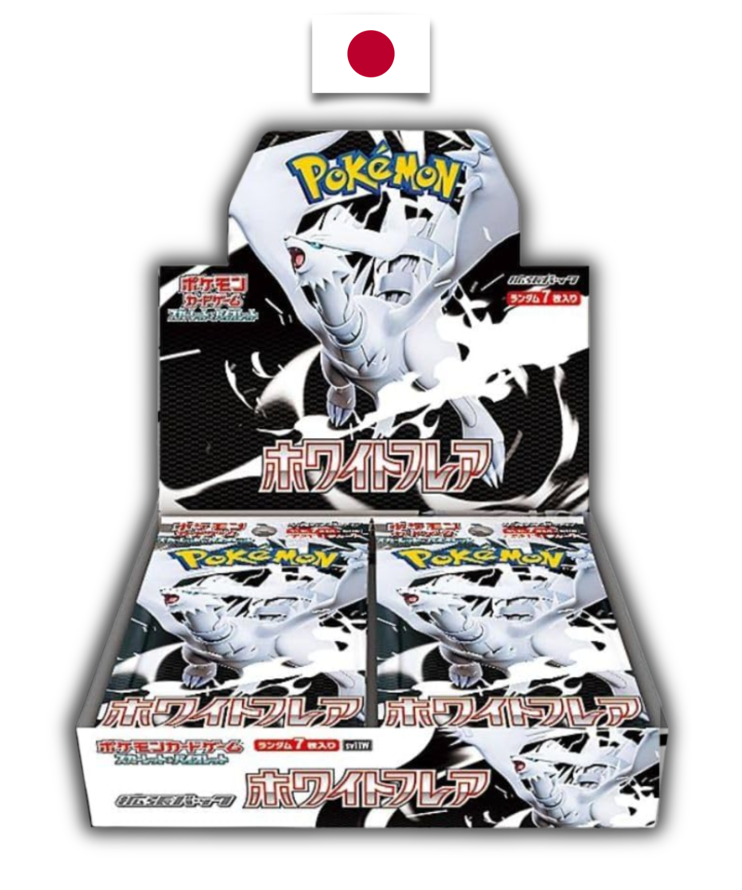 Display Pokémon – Future Flash – SV4M – Japanese