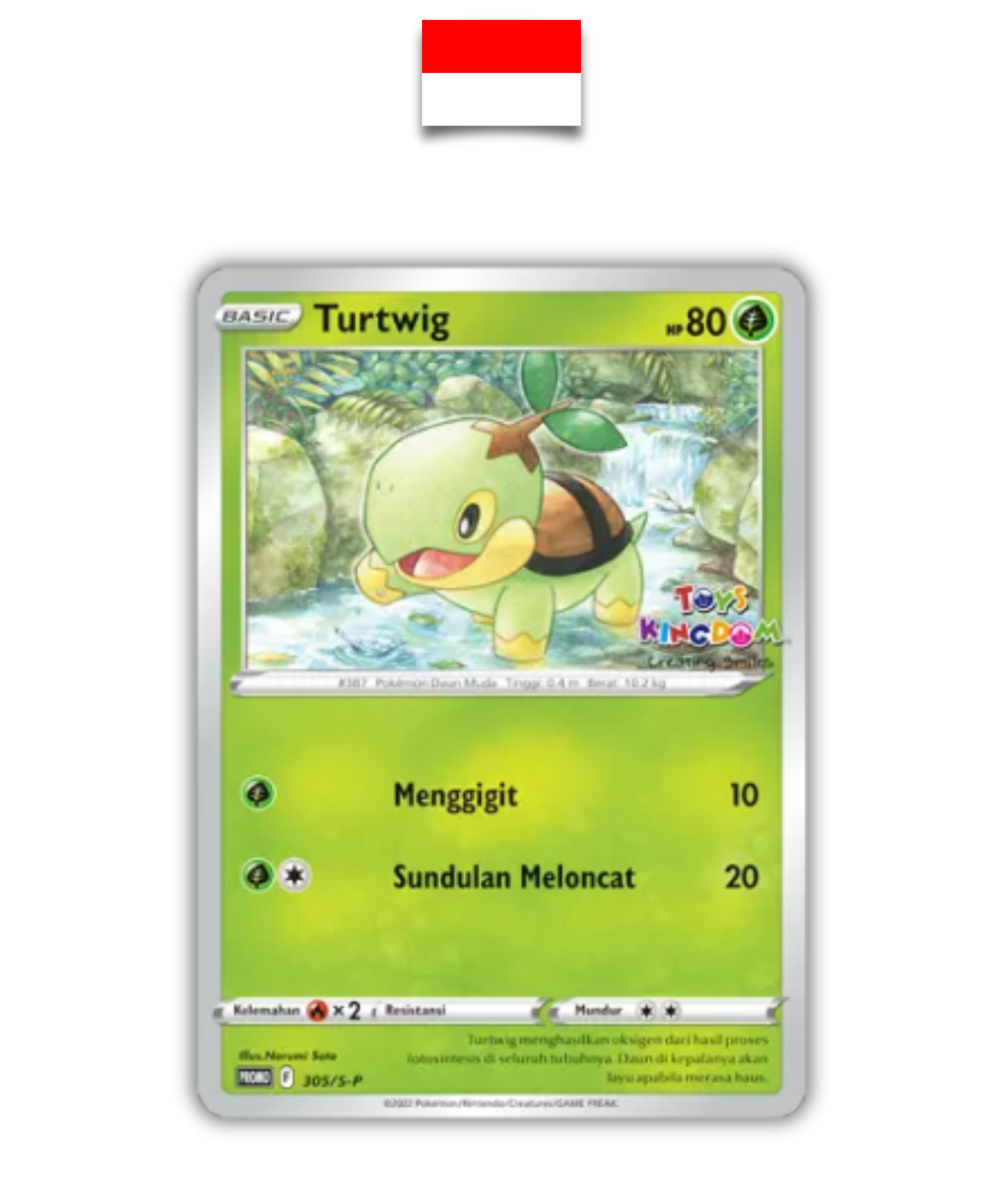 Carte Pokémon – Tortipousse Toys Kingdom 305/S-P – Indonésien - Quest Corner