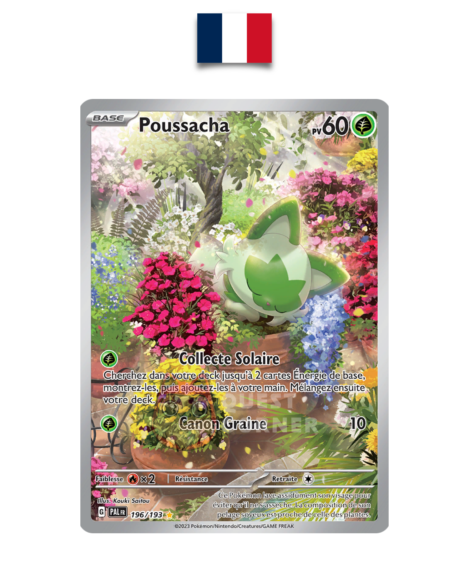 Carte Pokémon – Poussacha 196/193 AR – EV02 Évolution à Paldea – Français - Quest Corner
