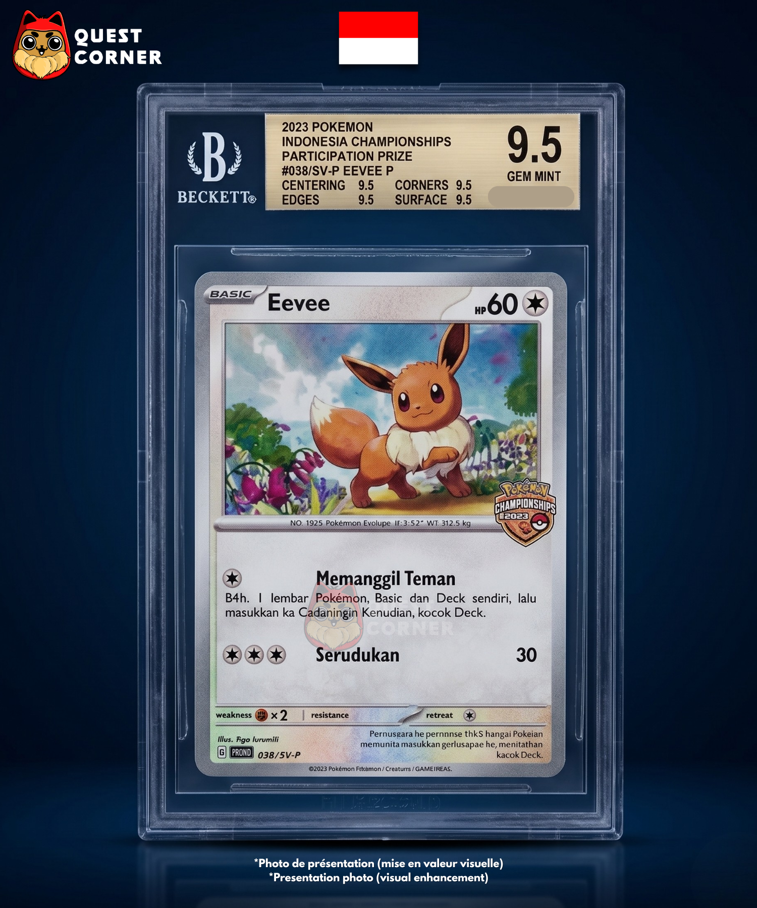 Évoli 038/SV-P Reverse – Stamp Indonesia Championships 2023 – Indonésien - BGS 9.5 - Quest Corner