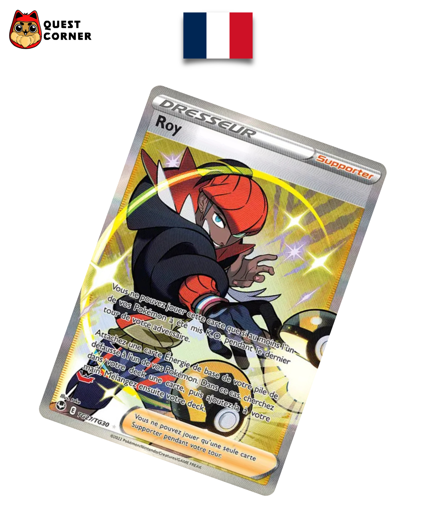 Roy TG27/TG30 – Tempête Argentée – Français – NM - Quest Corner