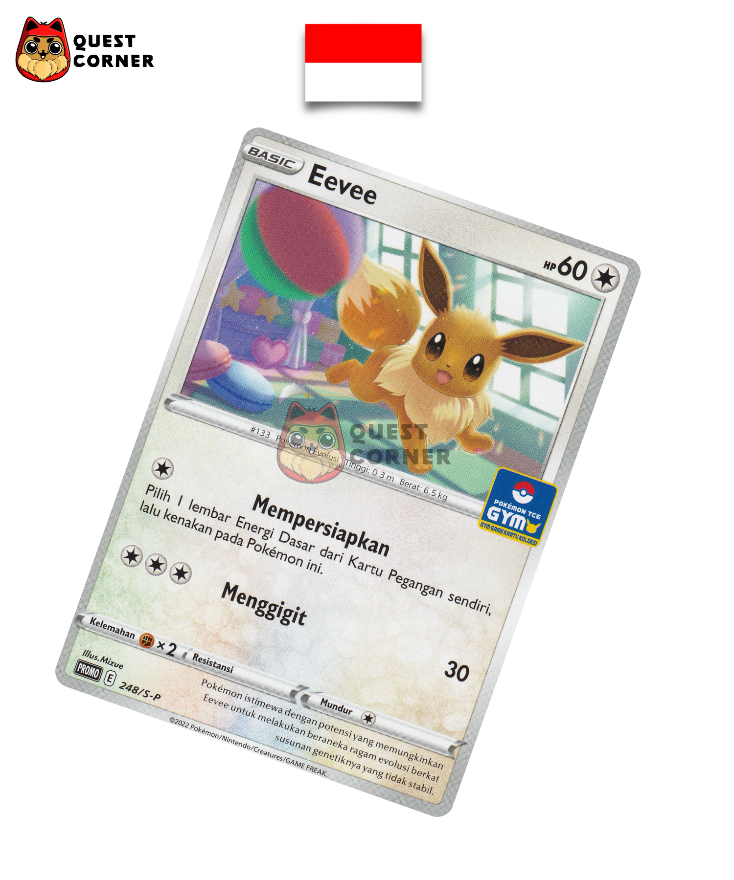 Evoli 248/S-P Gym Promo – Indonésien - Quest Corner