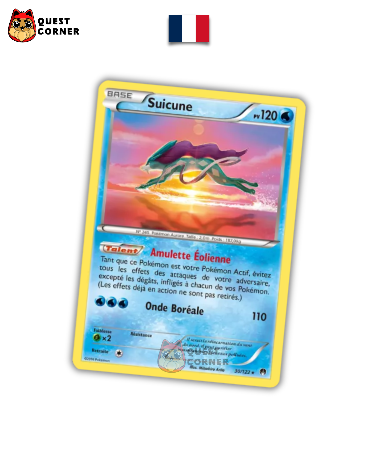Coffret Pokémon Collection avec Pin's - Suicune - x2 S&L Base & 1 XY12 Evolutions - Français - Quest Corner