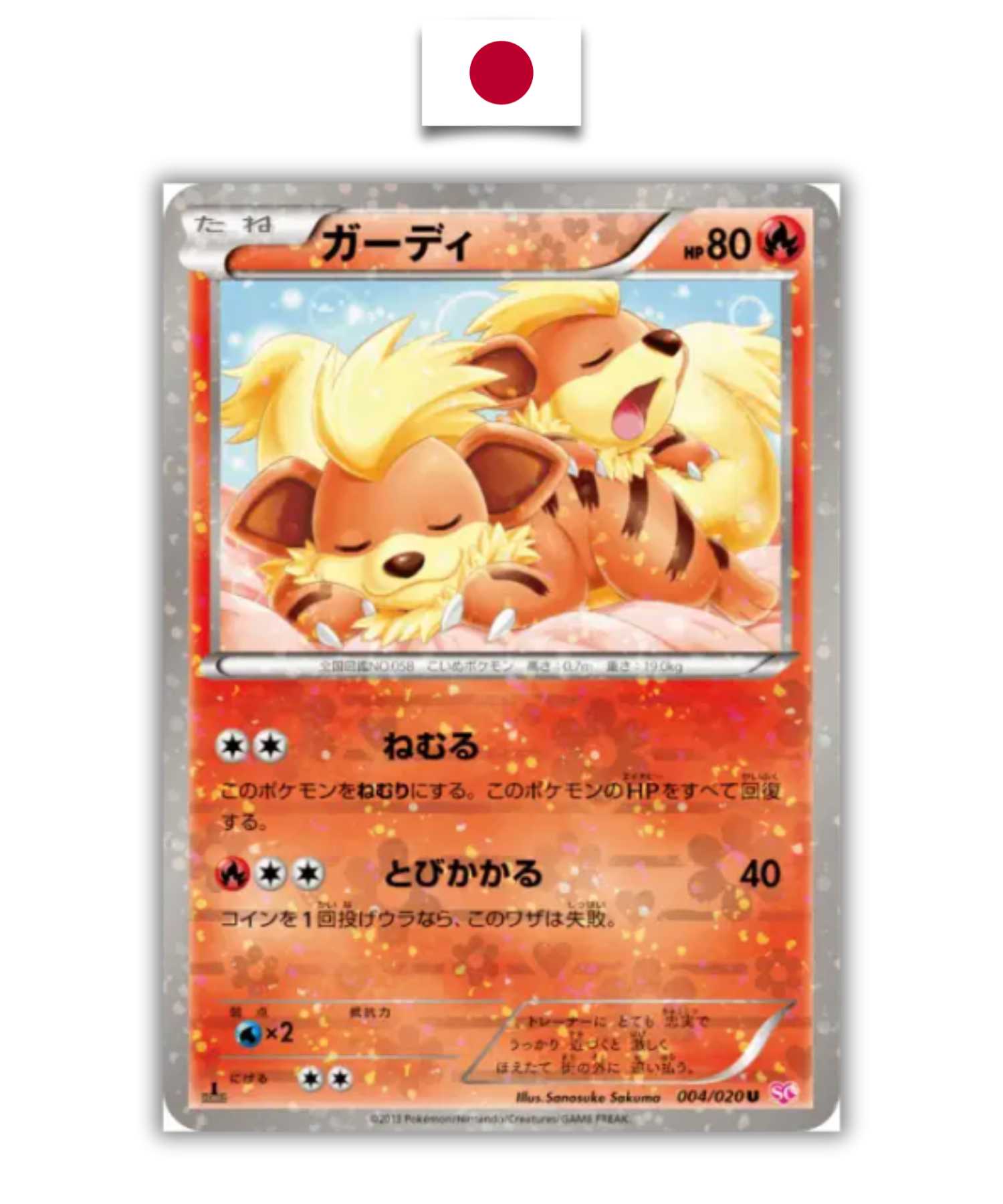 Carte Pokémon – Caninos 004/020 Holo Rare – Shiny Collection – Japonais - Quest Corner