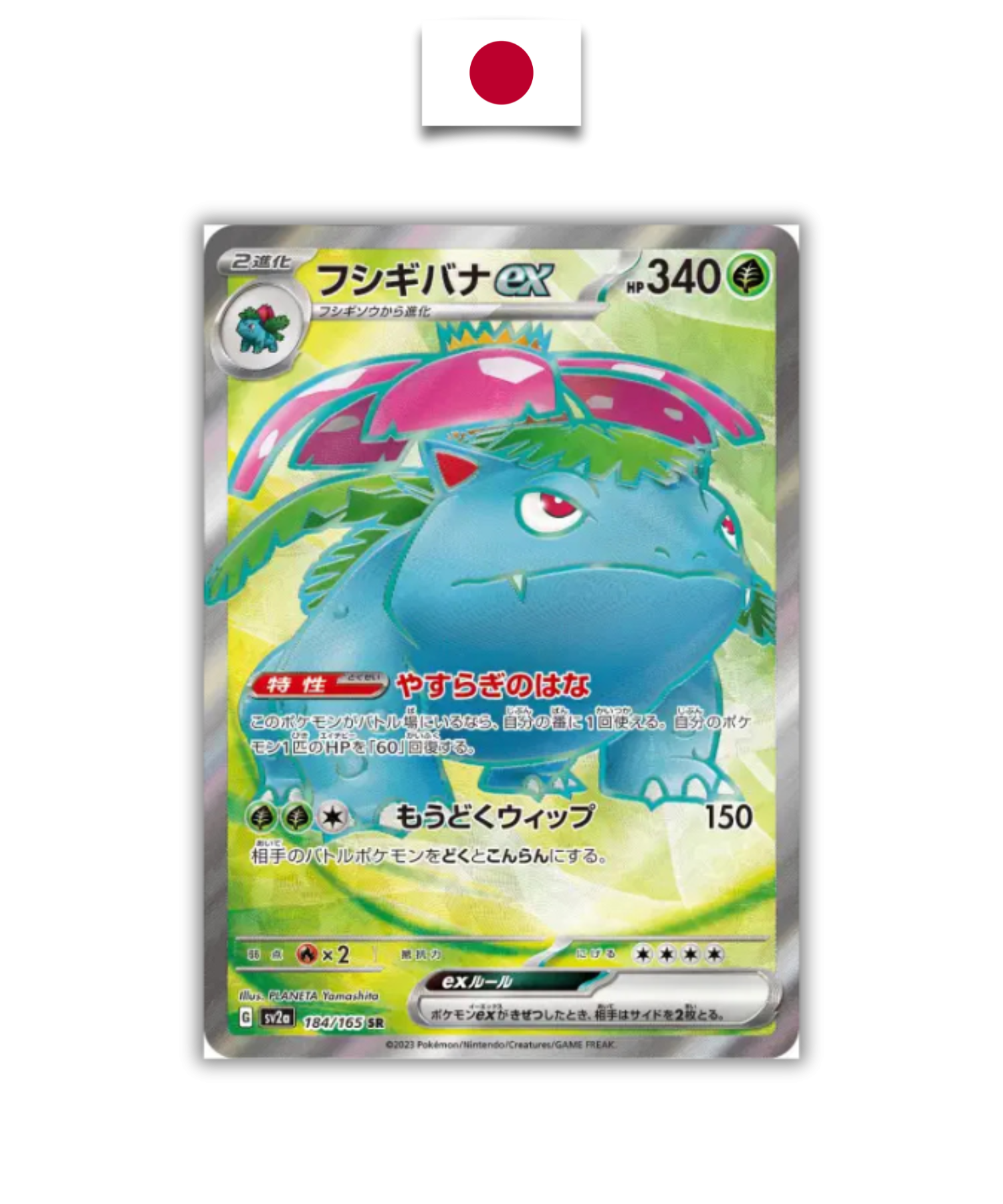 Carte Pokémon – Florizarre ex 184/165 SR – SV2a Pokémon 151 – Japonais - Quest Corner
