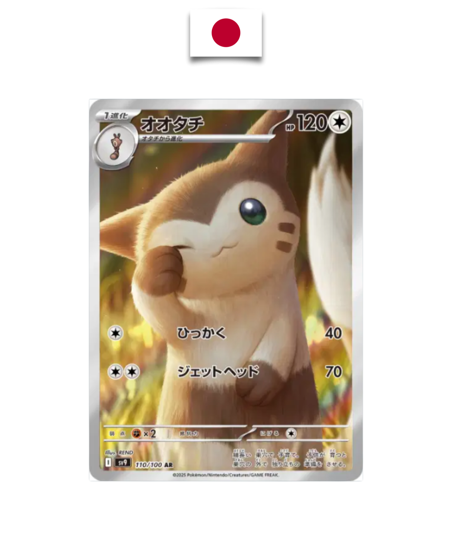 Fouinard 110/100 – sv9 – Carte Japonaise