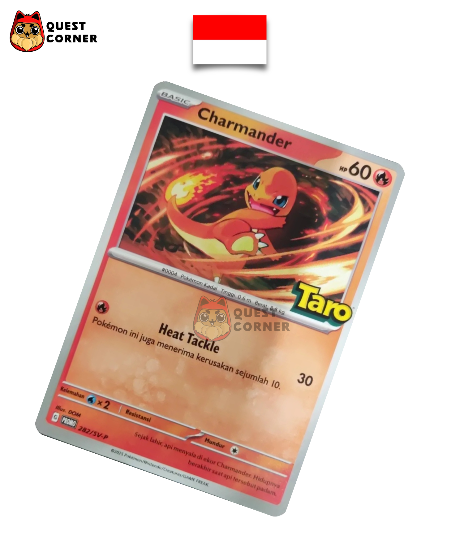 Carte Pokémon Salamèche 282/SV-P Promo Taro en indonésien