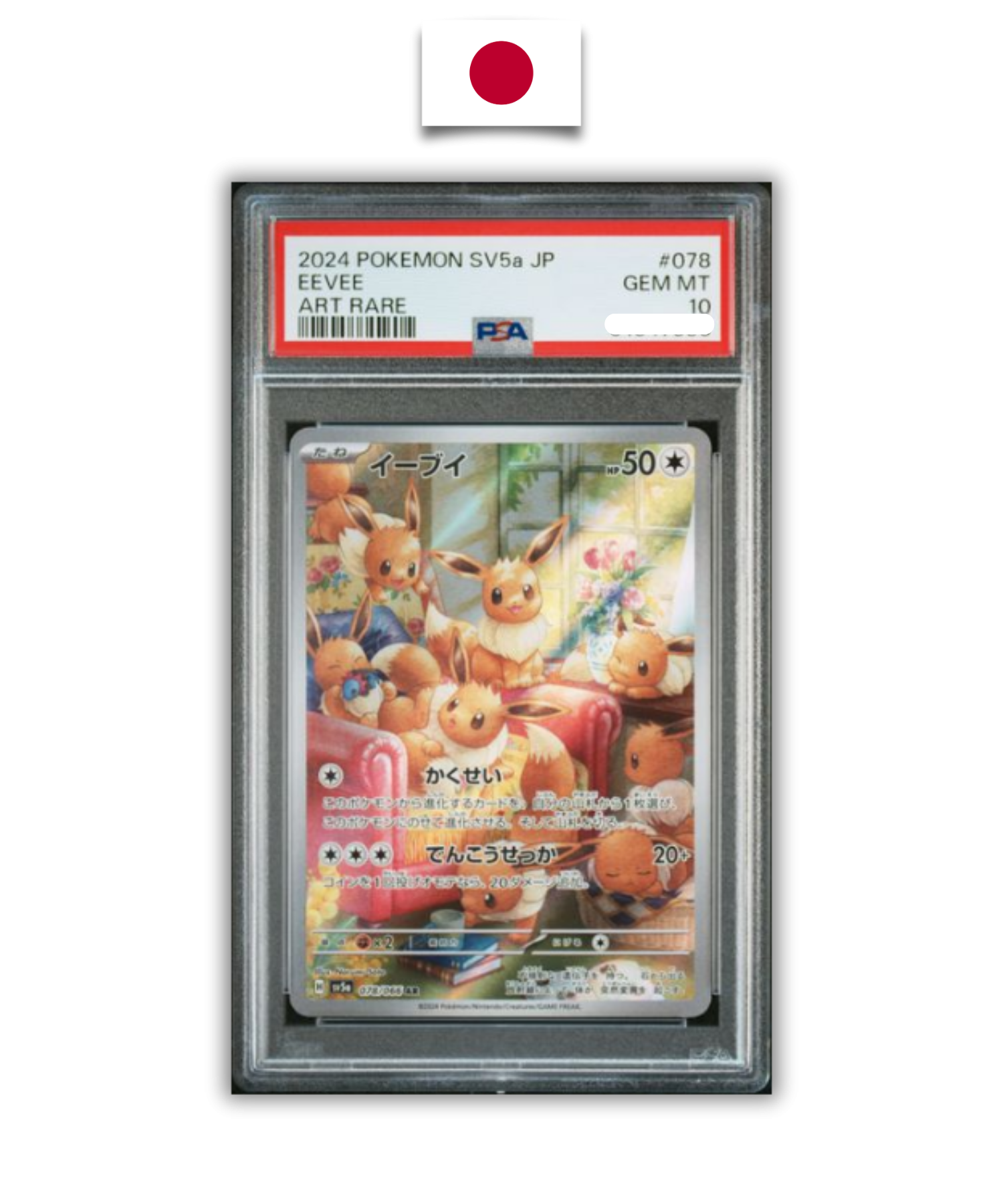 Pokémon Graded Card – Eevee 078/066 – PSA 10 – Japanese - Quest Corner