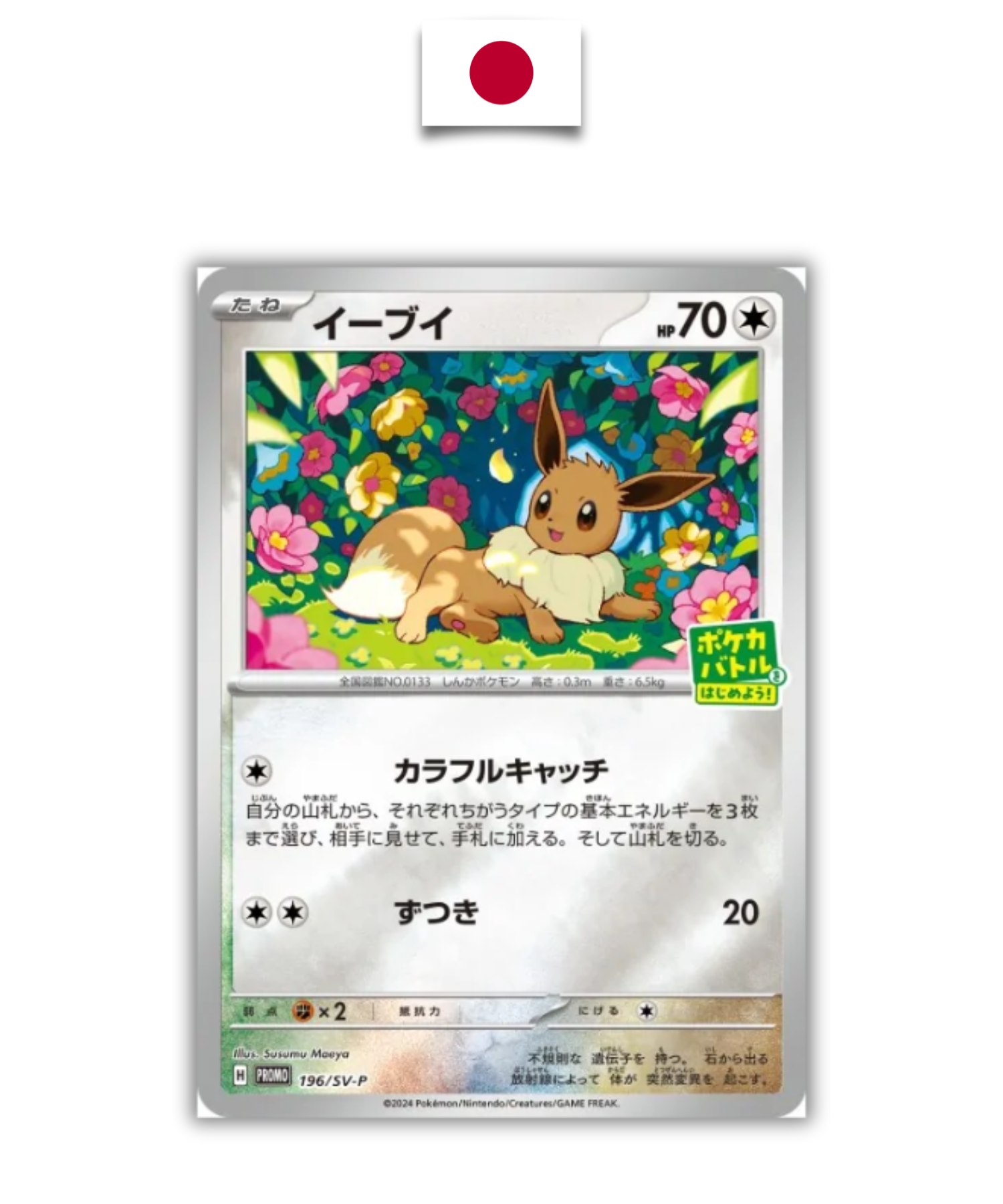 Carte Japonaise Evoli starter deck campaign 2024 sealed 196/SV-P