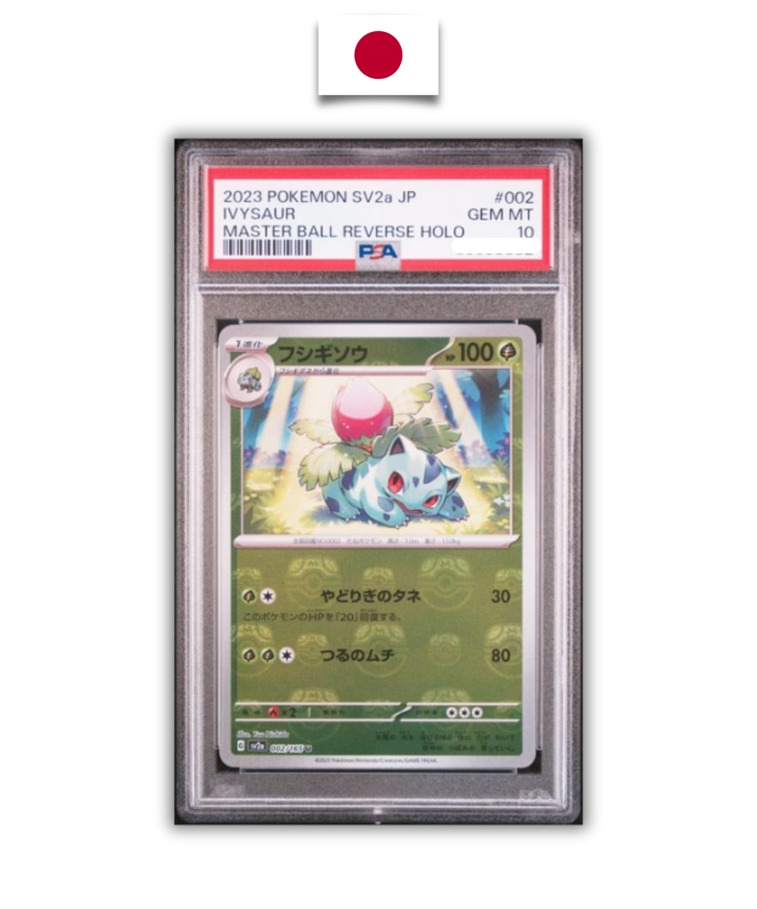 Pokémon Graded Card – Ivysaur Master Ball SV2a – PSA 10 – Japanese