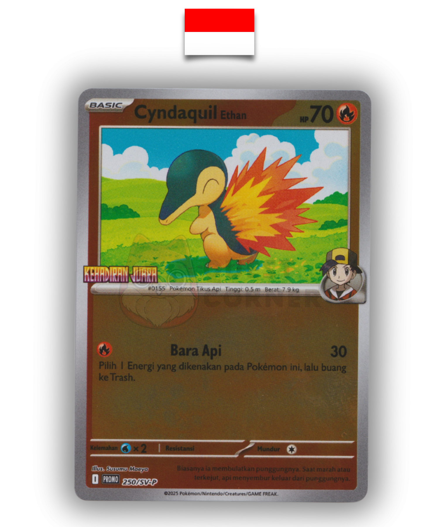 Carte Pokémon – Héricendre 250/SV-P Promo Kehadiran Juara – Indonésien