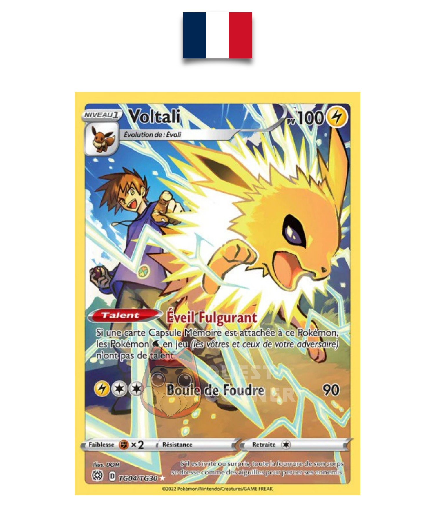 Carte Pokémon – Voltali TG04/TG30 – EB09 Stars Étincelantes – Français - Quest Corner