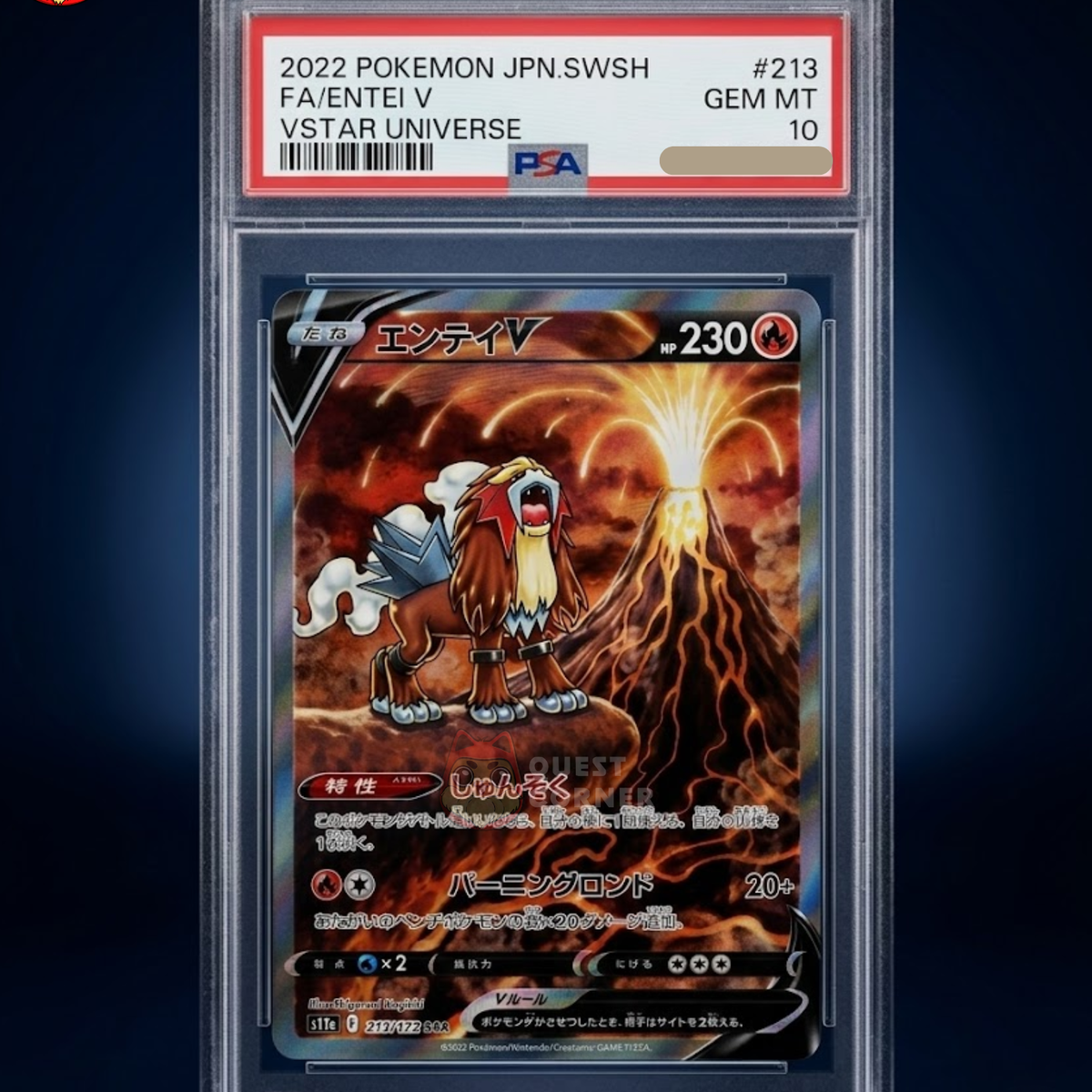 ポケモンカードゲーム 2022 Entei V #213 PSA 10 Carte gradée Pokémon Entei V 213/172 FA VSTAR Universe PSA 10