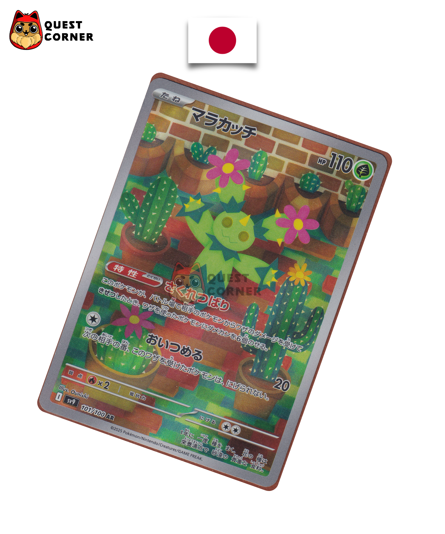 Maracachi 101/100 AR – SV9 – Japonais – NM - Quest Corner