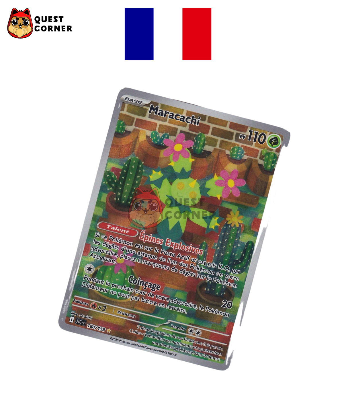 Maracachi 160/159 – JTG Aventures Ensemble – Français