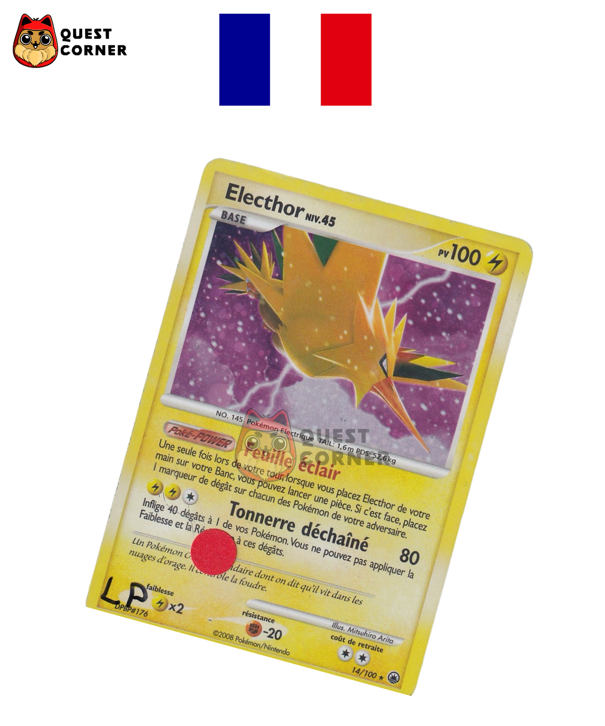 Électhor 014/100 – MD Aube Majestueuse – Français