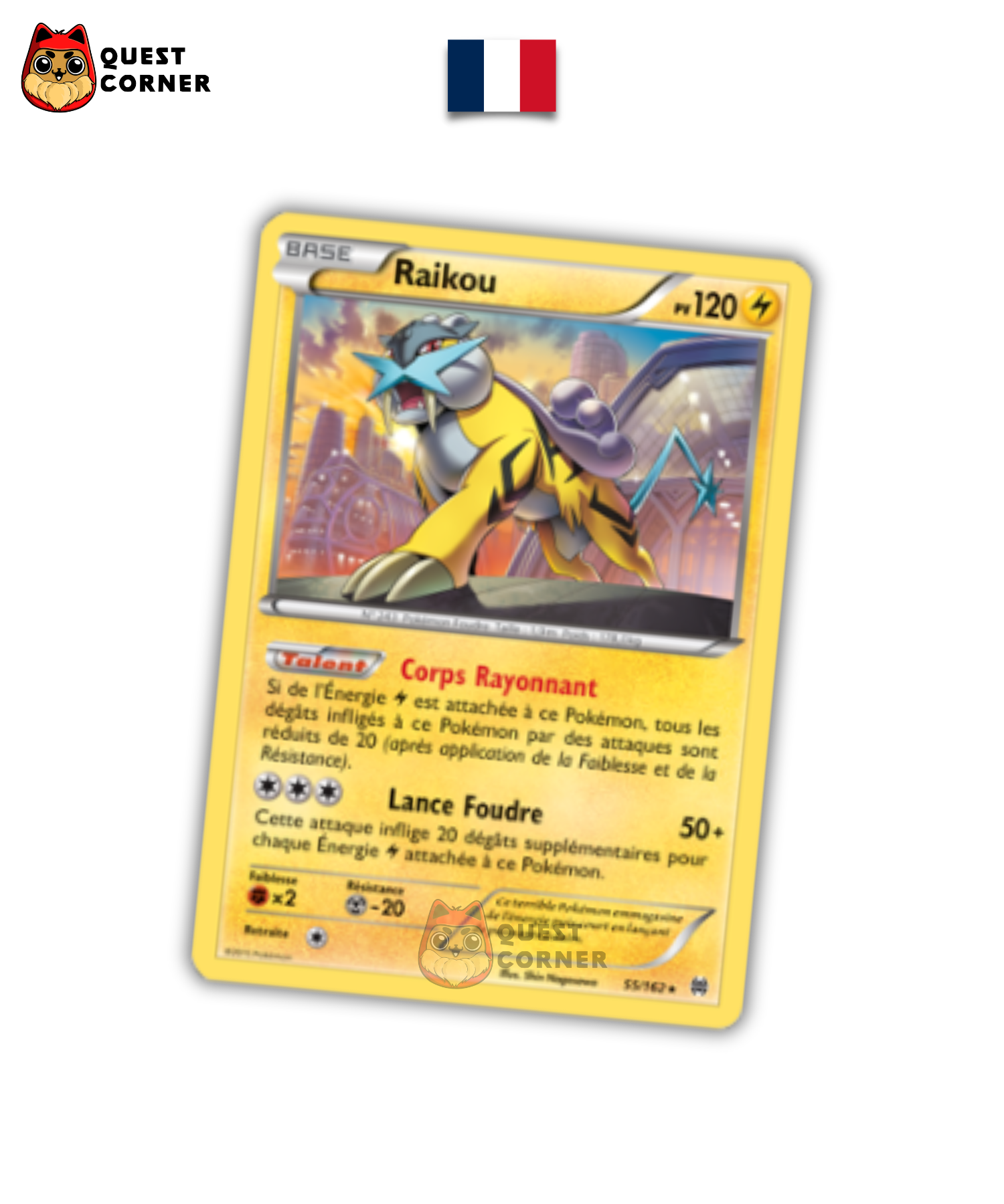 Coffret Pokémon Collection avec Pin's - Raikou - x2 S&L Base & 1 XY12 Evolutions - Français - Quest Corner