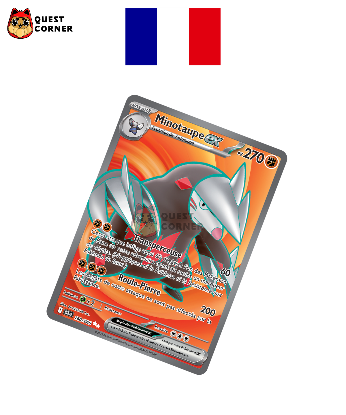 Minotaupe ex 160/086 – BLK – Français