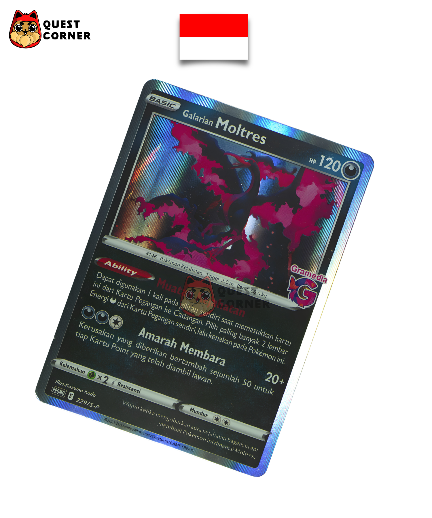 Carte Pokémon - Sulfura de Galar 229/S-P - Promo Gramedia - Indonésien - Quest Corner