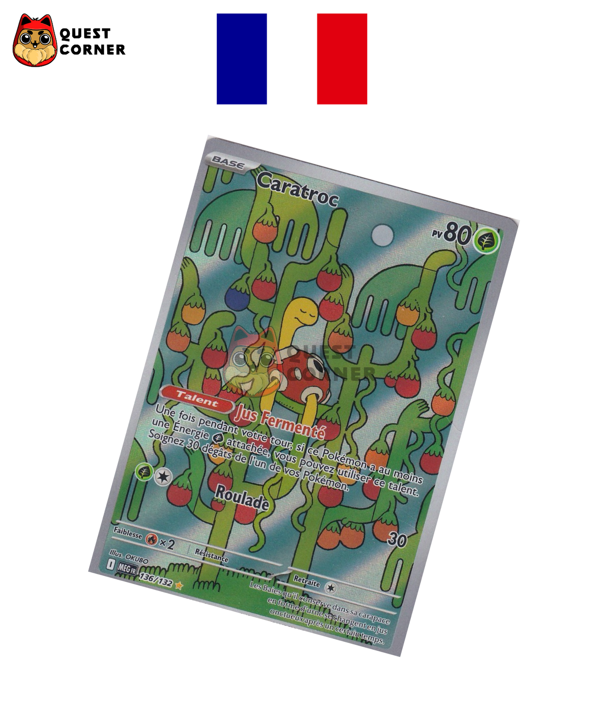 Caratroc 136/132 – MEG Méga-Évolution – Français