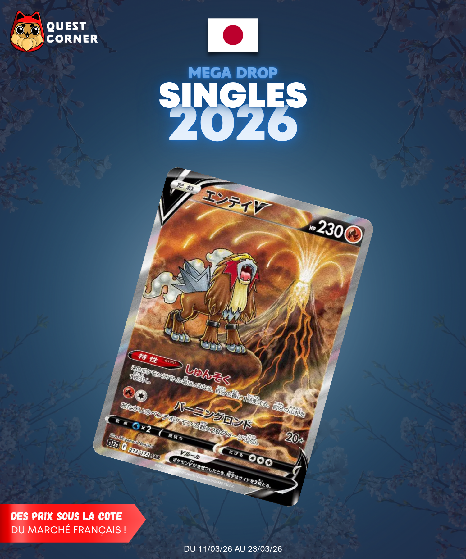 [MEGA DROP 2026] Carte Pokémon – Entei-V SAR 213/172 – S12a – JP – NM - Quest Corner