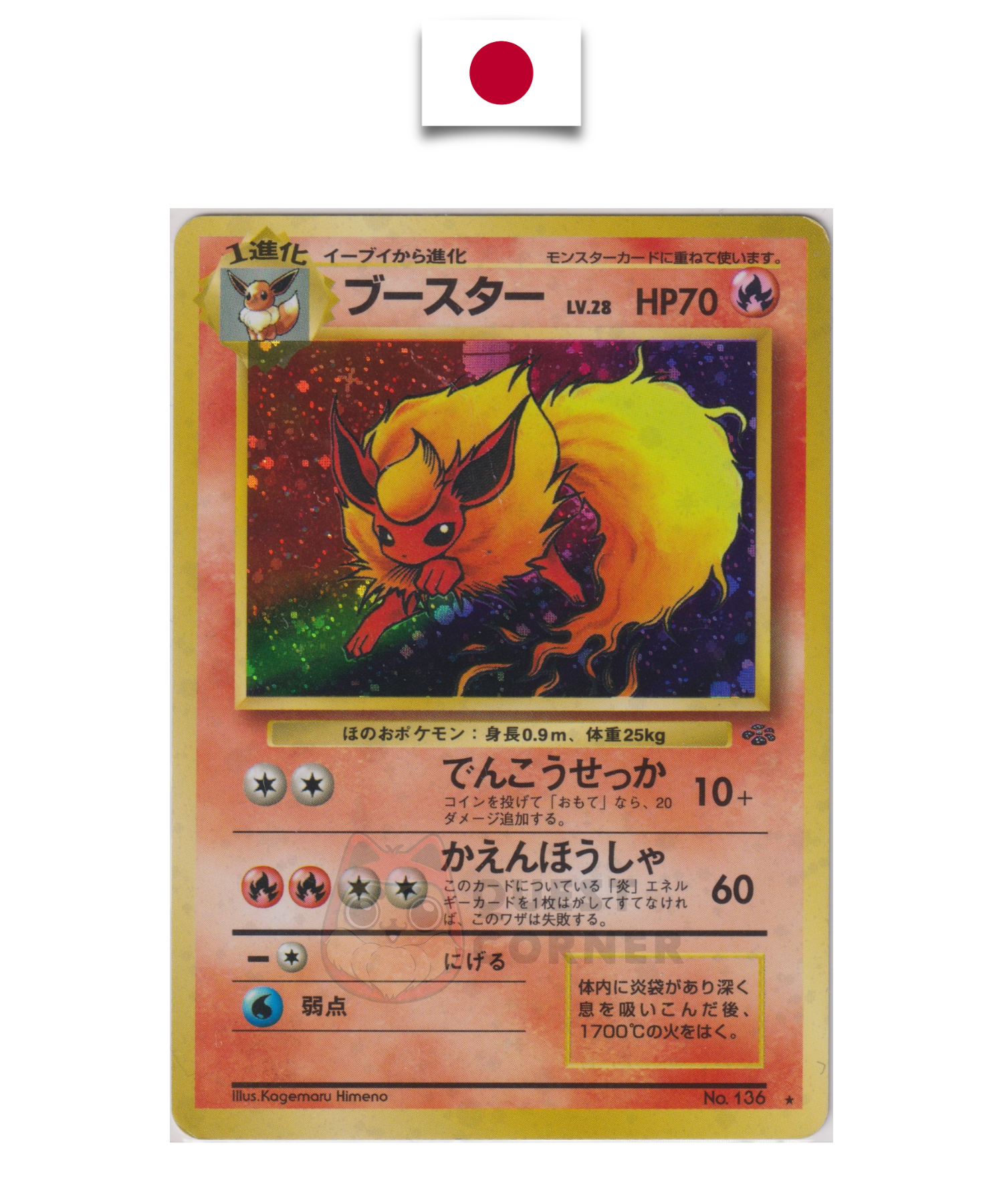 Carte Pokémon – Pyroli Holo – Jungle – Japonais