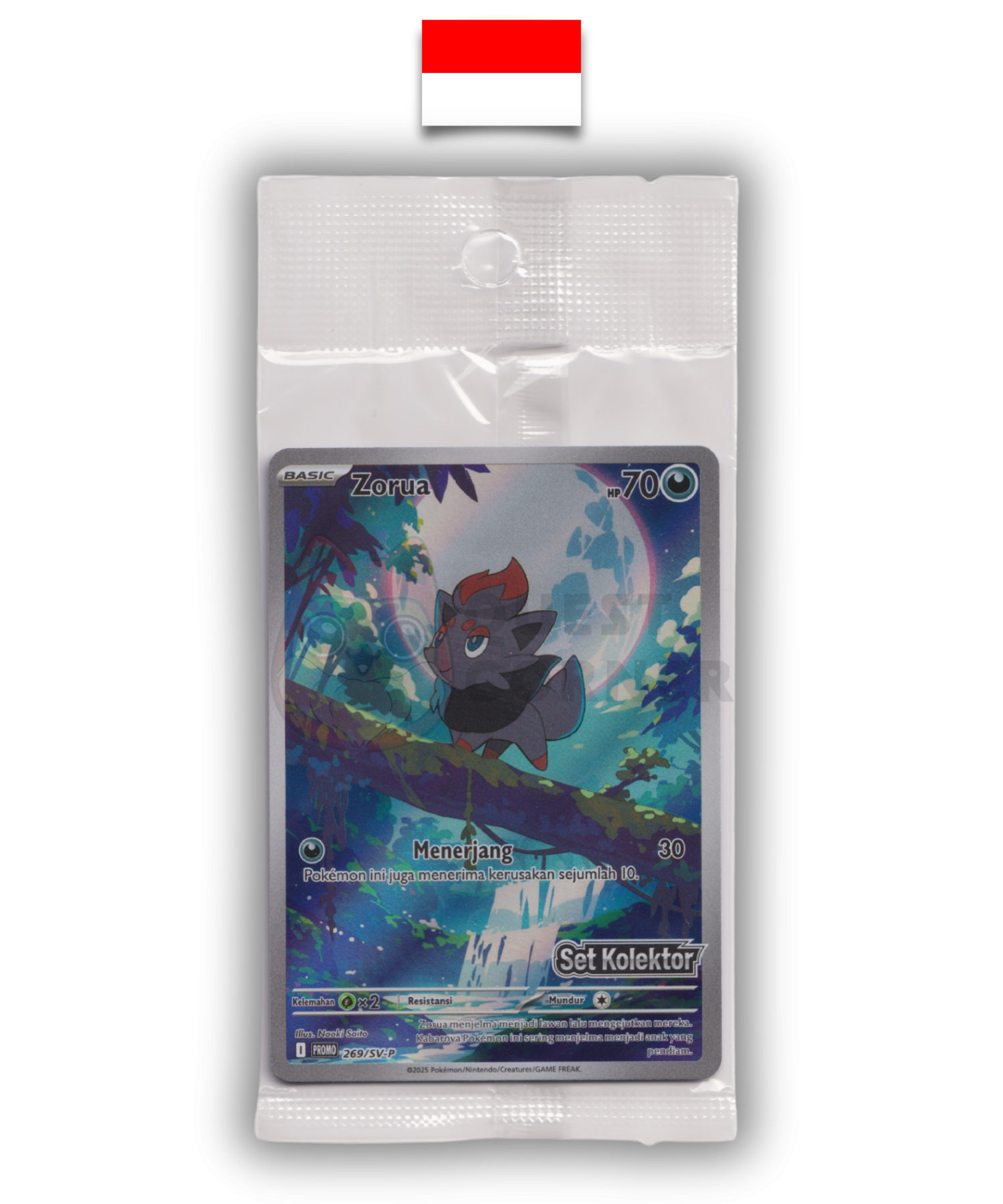 Carte Pokémon – Zorua 269/SV-P Promo Stamp Set Kolektor – Indonésien
