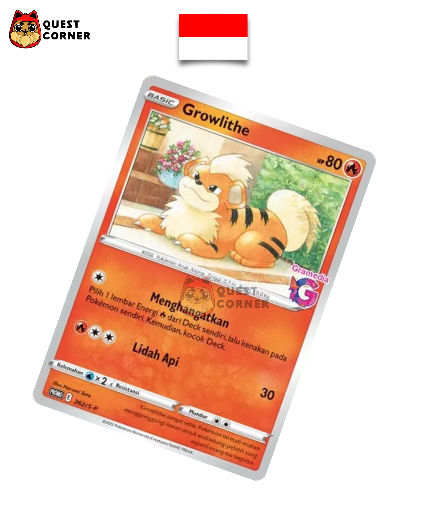 Carte Pokémon Caninos 262/S-P Promo Gramedia en indonésien