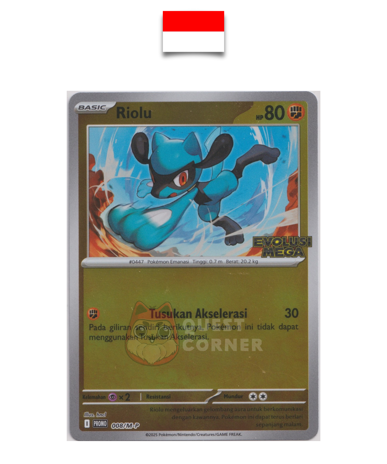 Carte Pokémon – Riolu 008/M-P – Reverse Holo – Promo Stamp – Evolusi Mega – Indonésien - Quest Corner
