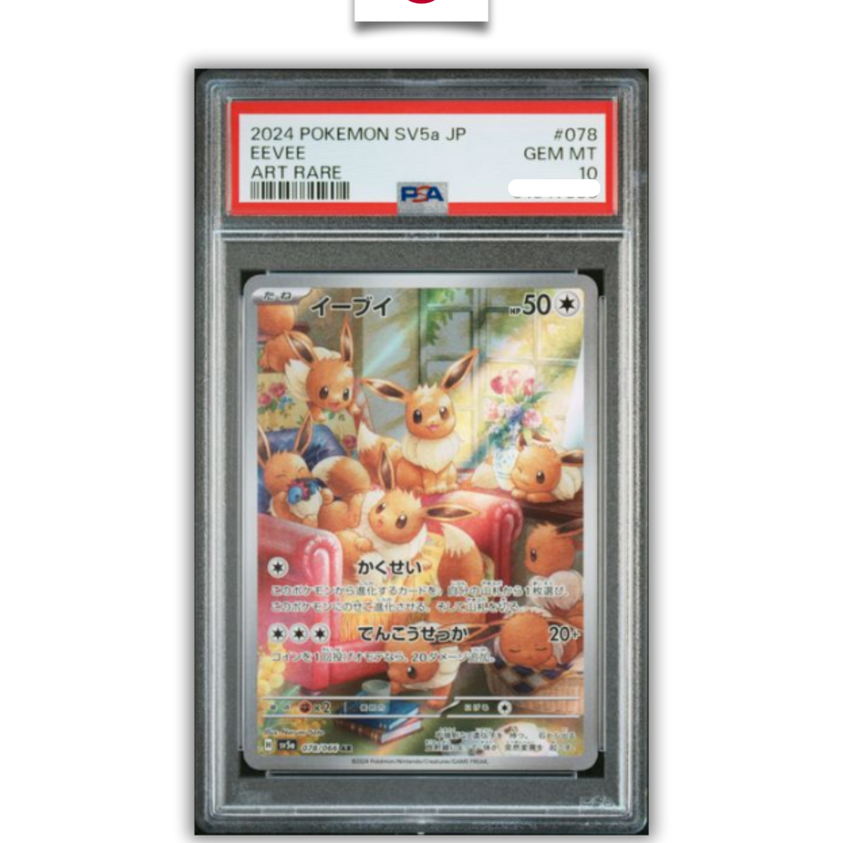 Pokémon Graded Card – Eevee 078/066 – PSA 10 – Japanese - Quest Corner